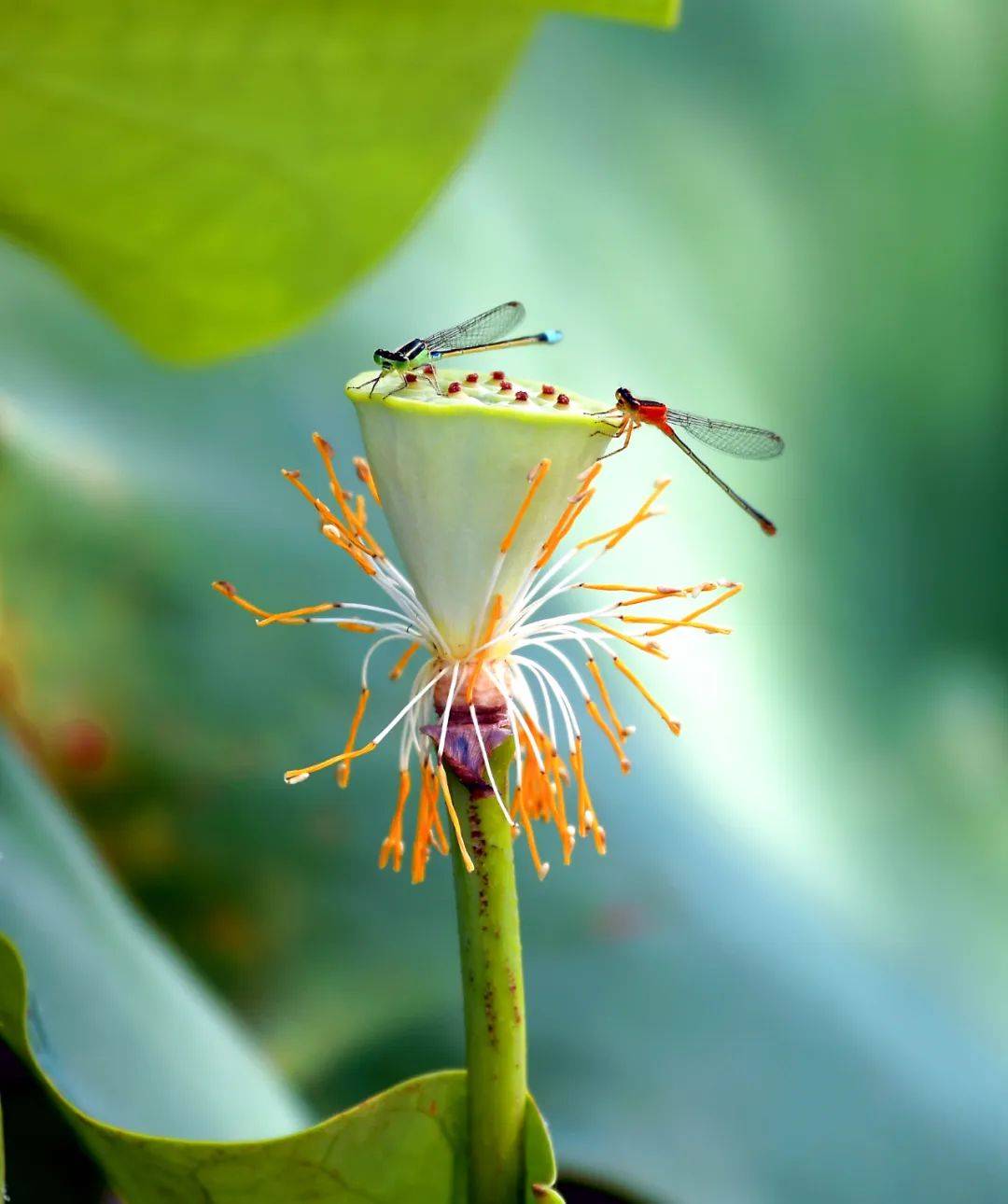 鸟类_周滨_张鑫林