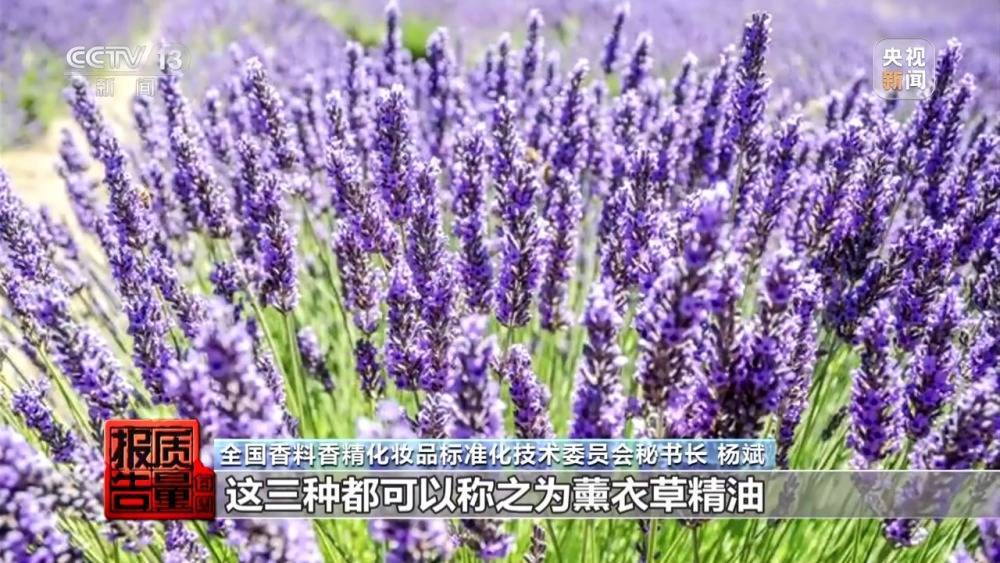 安神变提神号称"纯天然"的薰衣草精油为何不单"纯"?
