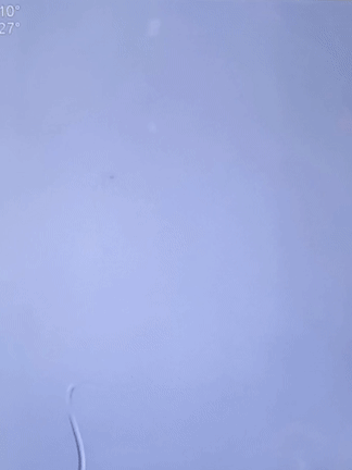 pipeline shield以表面觉醒 焕密网新生|金丹教授团队