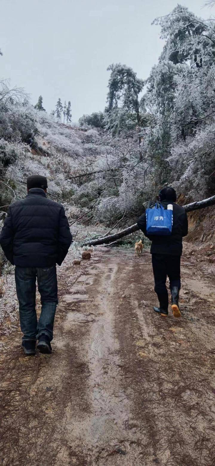 杭州高山区村民:鸡蛋冻裂,下山多花几倍时间_淳安_天气_树木
