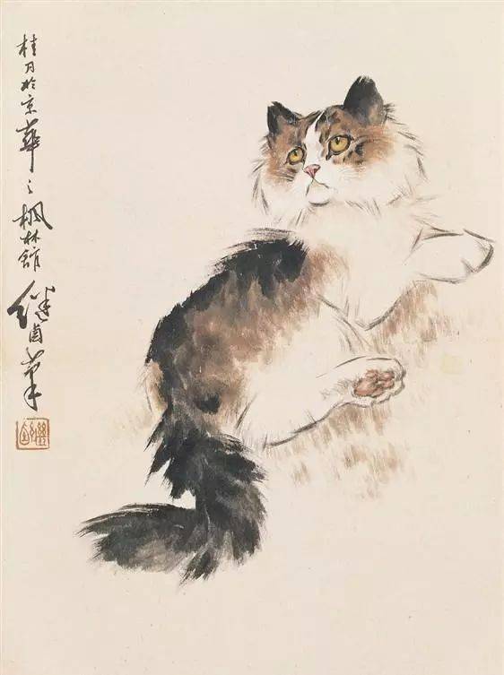 中国_动物_小猫