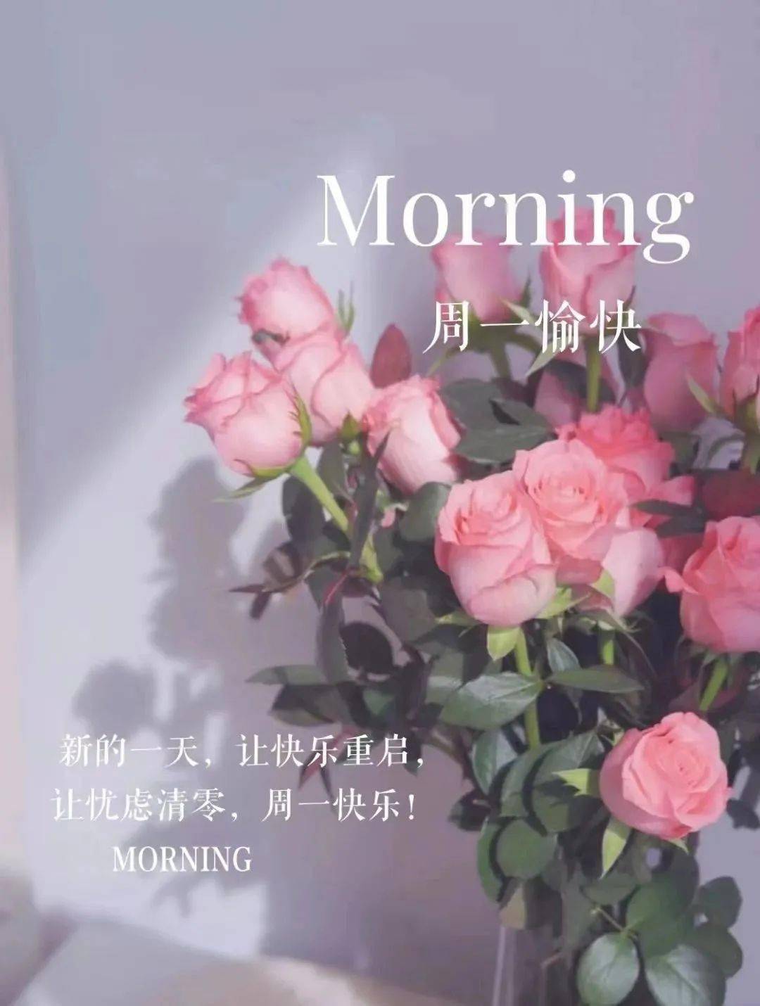 2月26日 周一早安励志文案配图:电量100%充满 打工人上线!