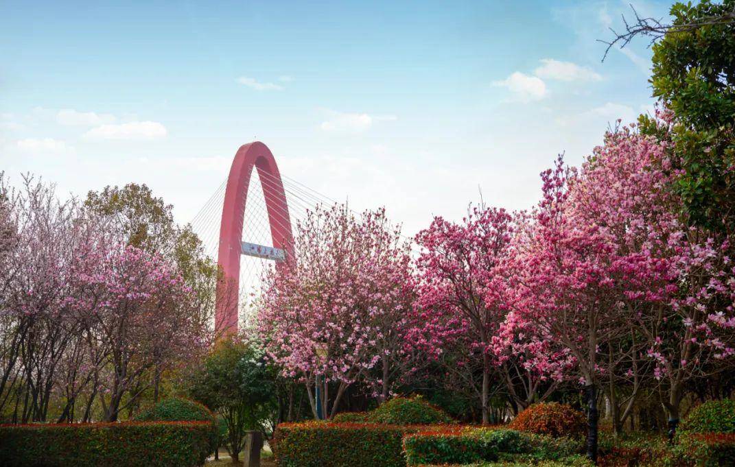 泗阳「春日专列」,浪漫启程_公园_时间_地点