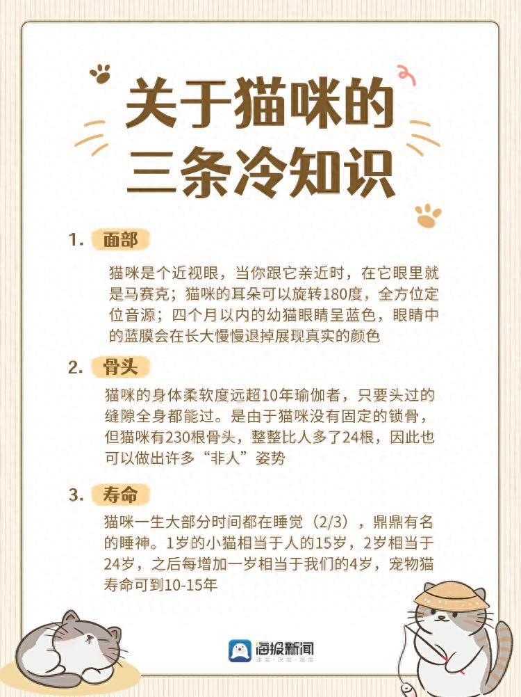 一图读懂|关于猫咪的三条冷知识_海报_新闻_焦洋