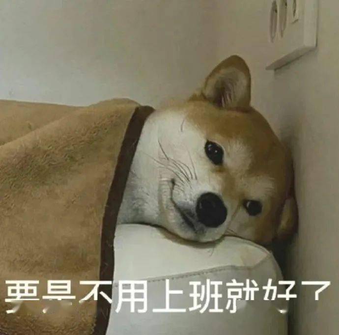 奇奇怪怪的表情包_微信_方法_相册