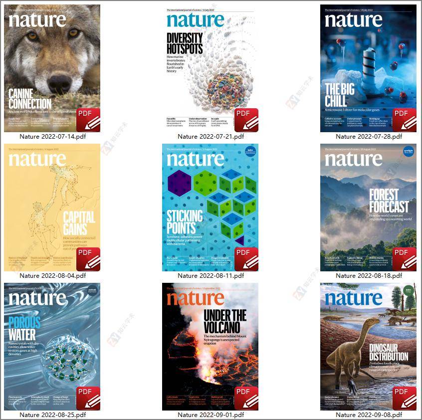 nature期刊合订本2022