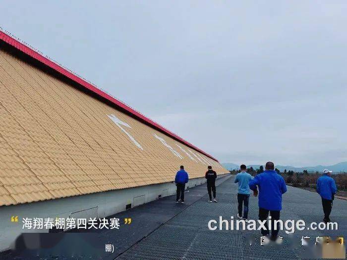 「鸽讯」广东春棚第一场决赛战绩出炉 前十名素颜照品鉴_比赛_海翔春