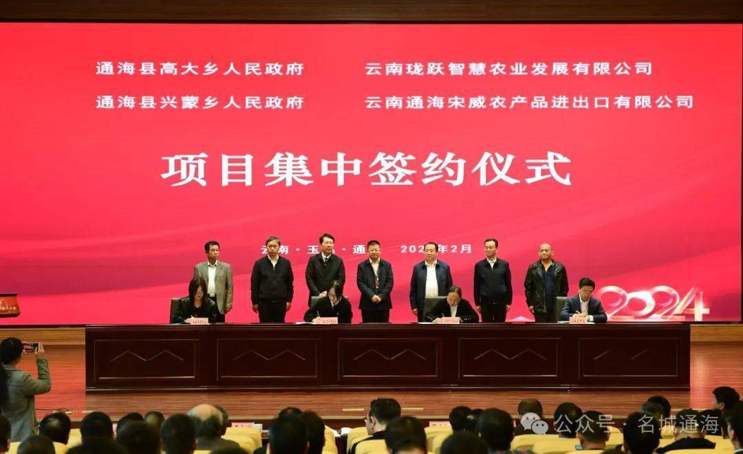 通海县举办2024年重点产业招商引资推介会及项目签约活动_发展_会上