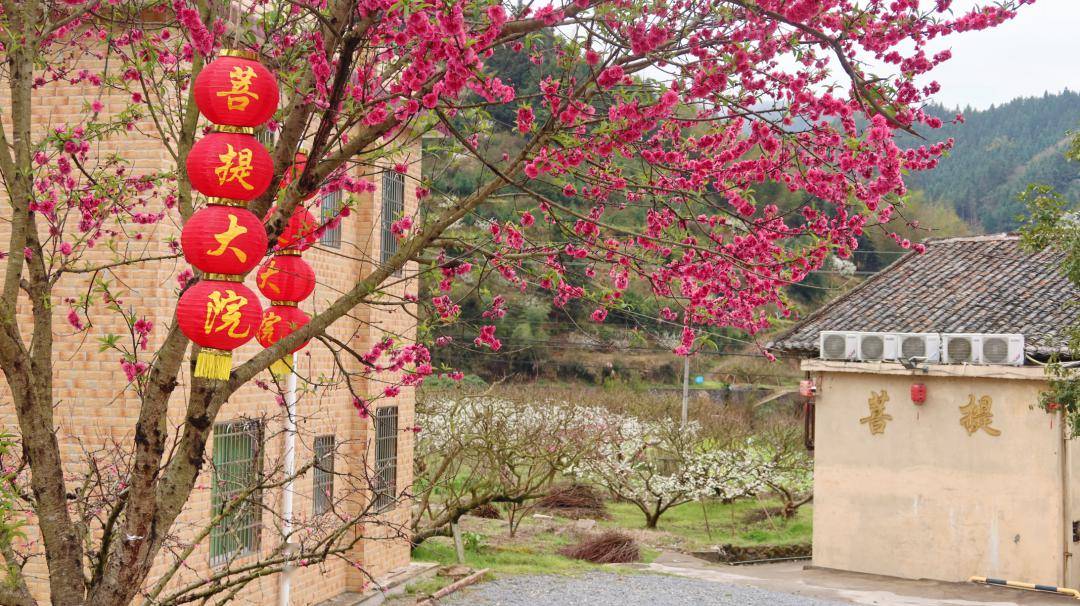 乐昌_花海_两江镇