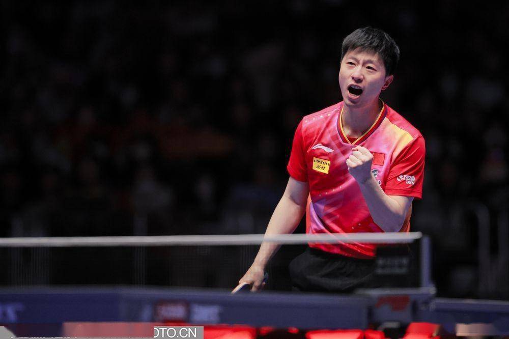 中国男团零封法国男团11连冠第23次捧杯_樊振东_比赛_马龙