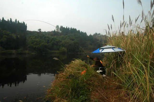 春钓想要有所收获,并不是用荤饵就可以,从四个方面入手并不难_鱼儿