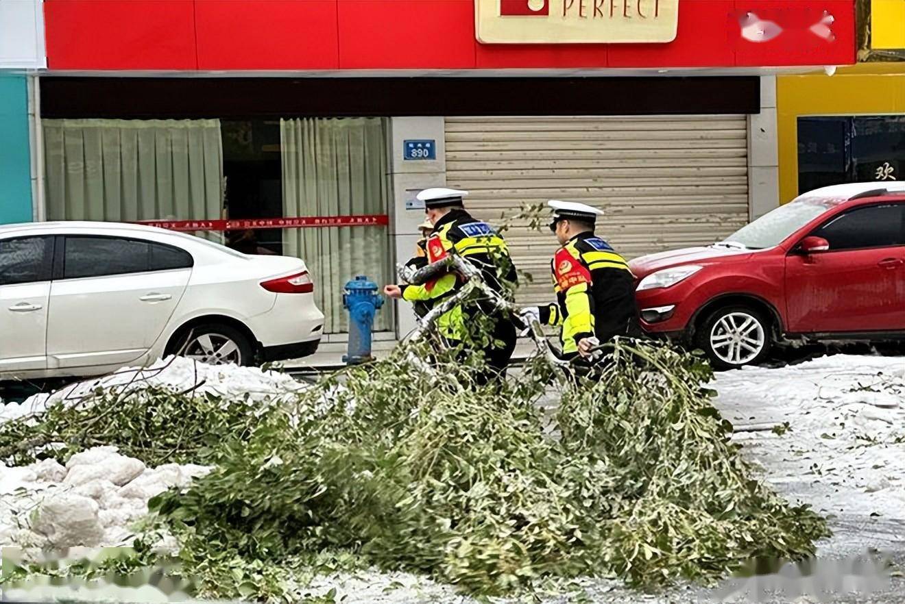 冰雪一线党旗红——常德交警二大队党员先锋中队抗冰冻