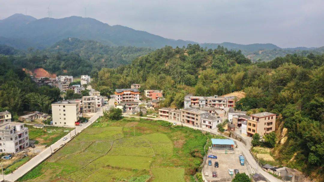 可复制的石榴经验,绘就乡村振兴新图景