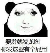 龙图表情包(99张)_公众_il_熊猫头