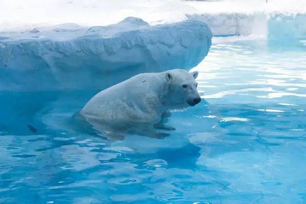 67春日来长隆 61 宠你有花招|67走进 —— 珠海长隆海洋王国