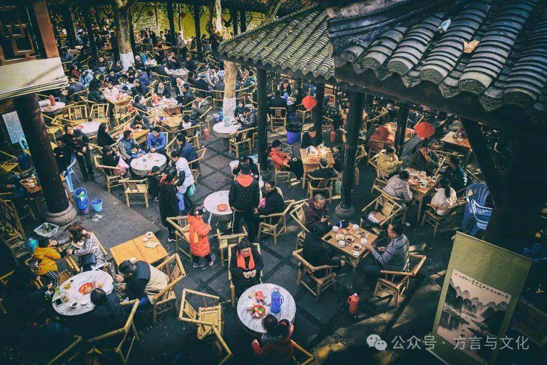 非茶之茶——野坝子与老鹰茶_解毒_云南_孔楠怡