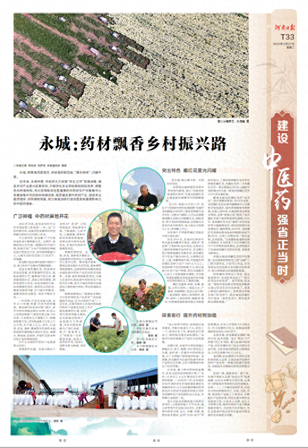 建设中医药强省正当时_种植_永城_中药材