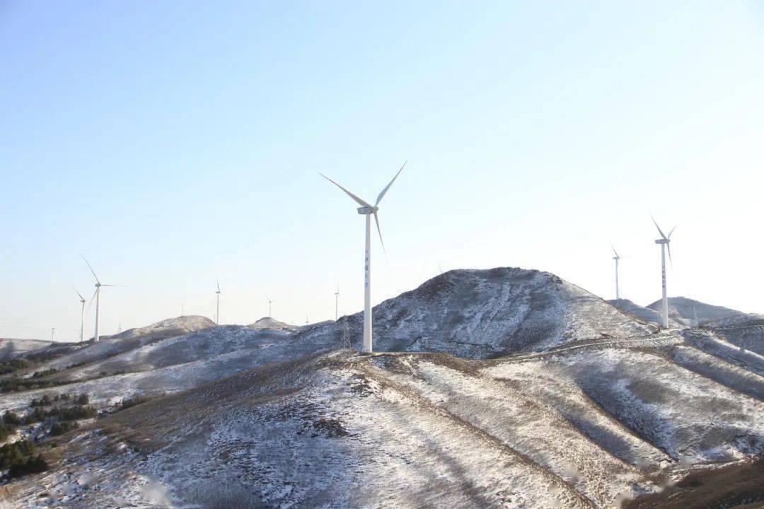 辽西北 追风_王子山_辽宁_电建