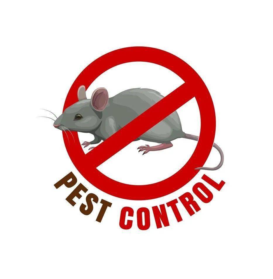 开学季,预防食源性疾病——学校做好鼠害"三防"_食品_处理_环境