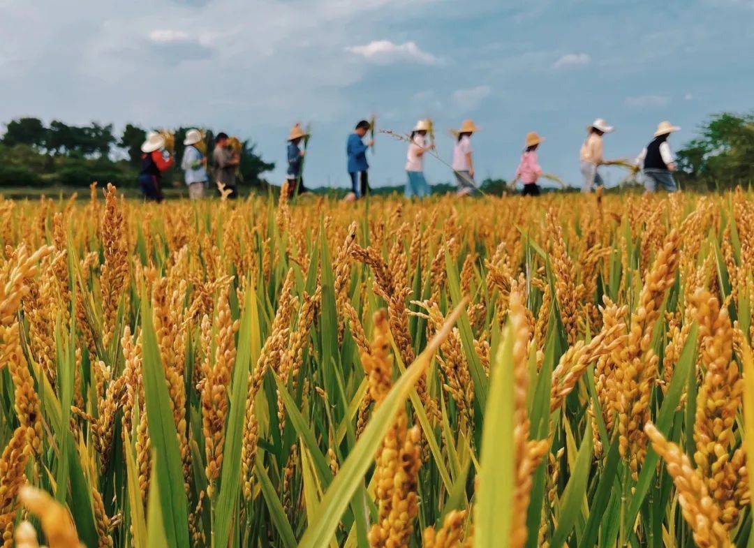 艰苦奋斗,勤俭节约的思想永远不能丢——在全社会厉行节约,反对浪费②