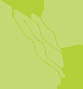 为网络文明代言 清朗闹元宵——临海小学2018级12中