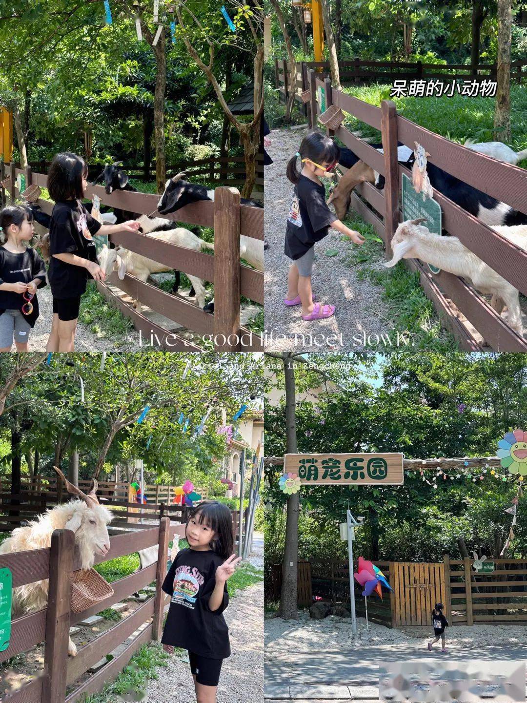 含双人自助早餐 泡森林温泉,畅玩空中乐园,送大丰门门票 划船_泉城