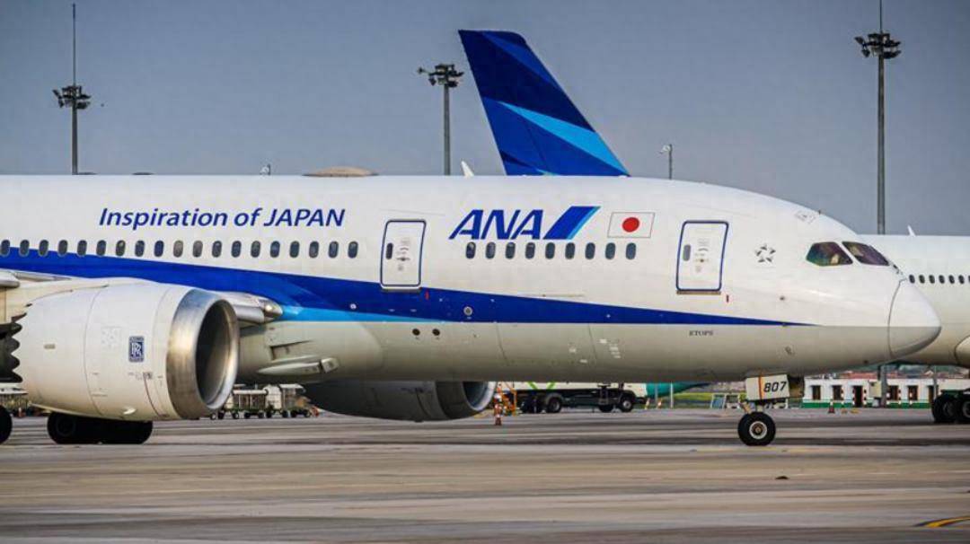 全日空将加强欧洲网络 拟开通多条新航线_航班_运营_航空