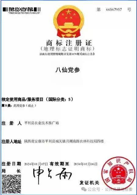 陕西平利"八仙党参"地理标志证明商标注册成功_种植_中药材_巴山