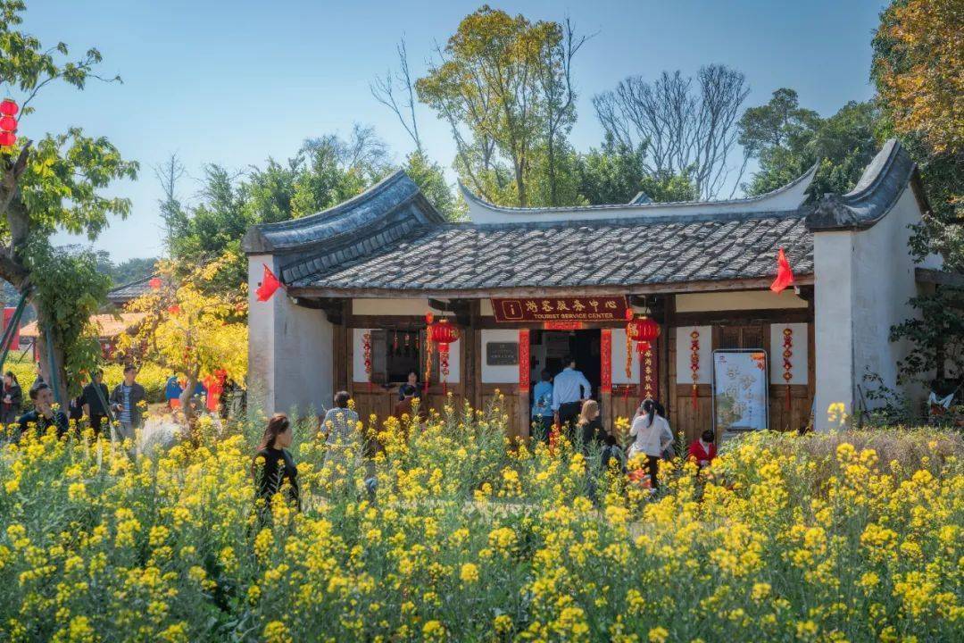 来梁厝,踏遍春光不思还!