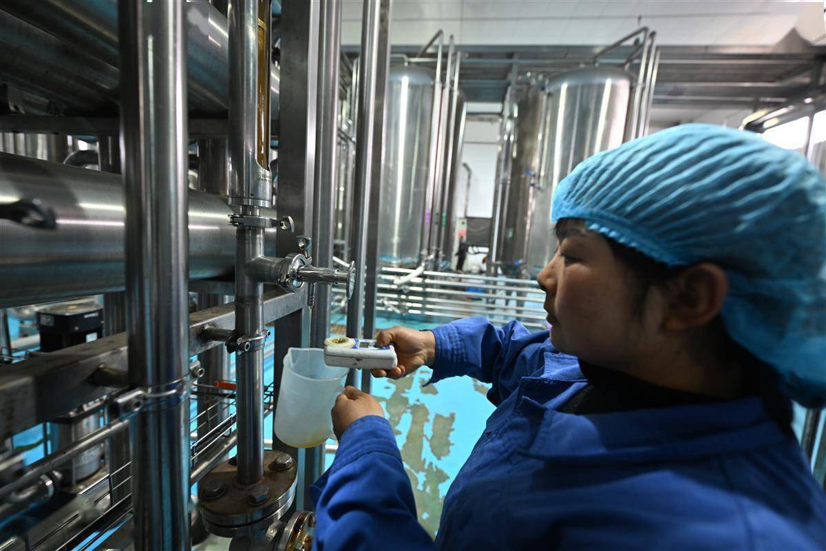 枝江茶叶深加工路子越走越宽_生产_宇隆_产品