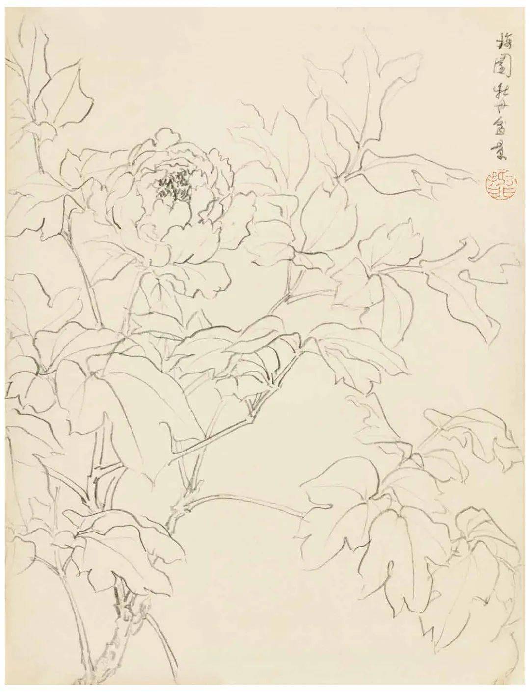 陆抑非先生教学示范作品之白描画稿_浙江省_古人_初稿