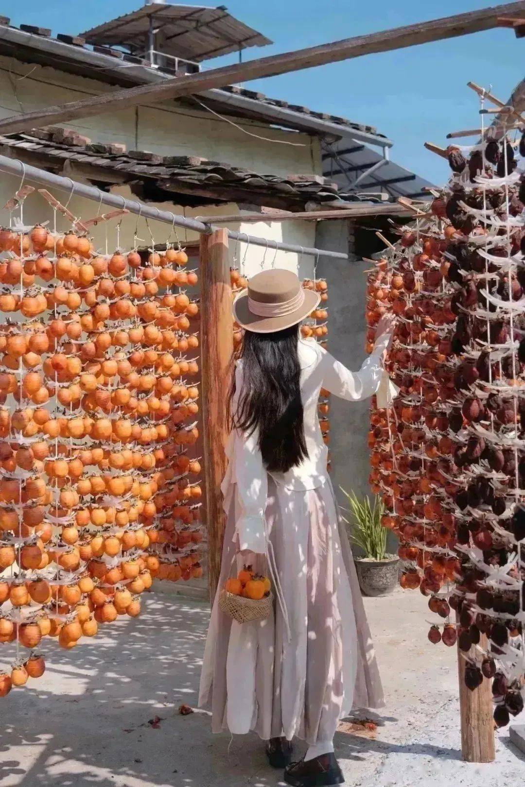 临水宫|苏新金 摄临水夫人陈靖姑,是福建最有影响力的陆上女神,她的