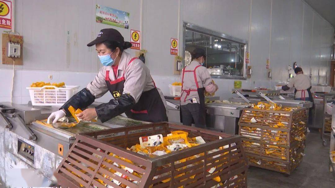 安龙县万里香食品有限公司生产车间管理负责人  柯陈强:从1月22日开始