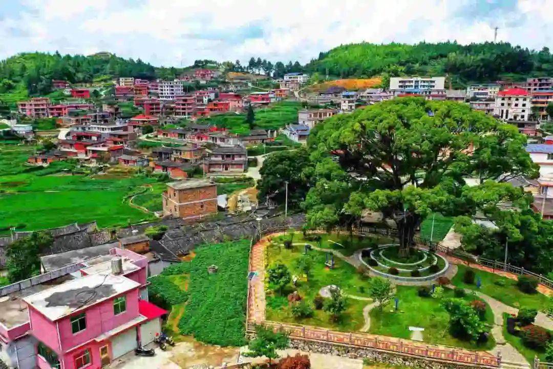 眉山乡高田村:"绿盈乡村"为抓手 多措提升村庄品味_绿化_建设_生态