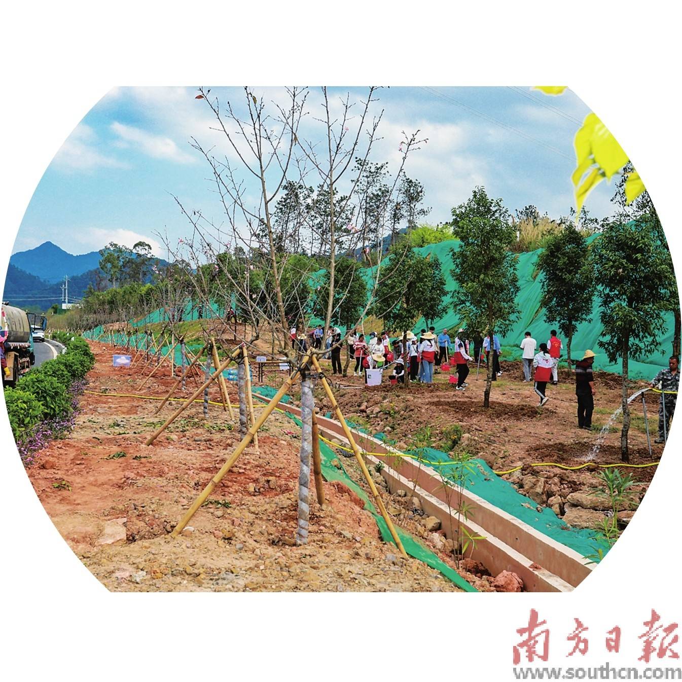 植树正当时 防火不能忘_活动_森林_梅州