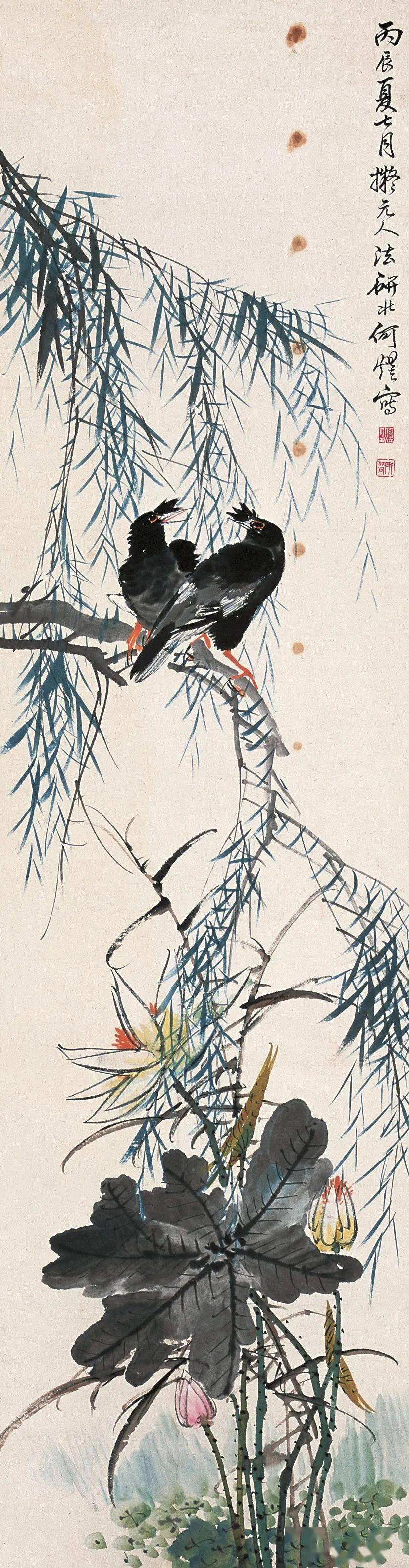 昙花_波罗蜜_般若