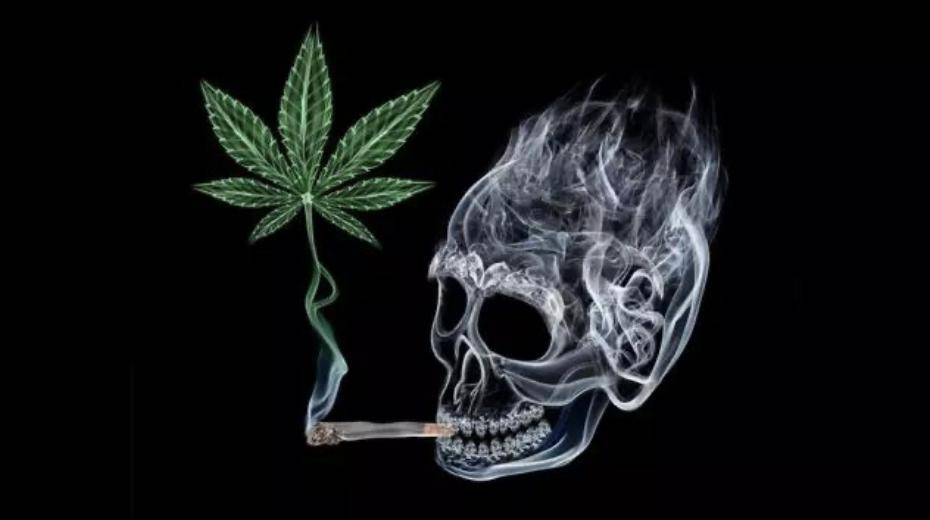 四氢大麻酚,对中枢神经系统有抑制,麻醉作用,吸食后会出现幻觉和妄想