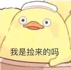 聊天搞笑表情包:可以带我一起玩吗?_公众_il_li