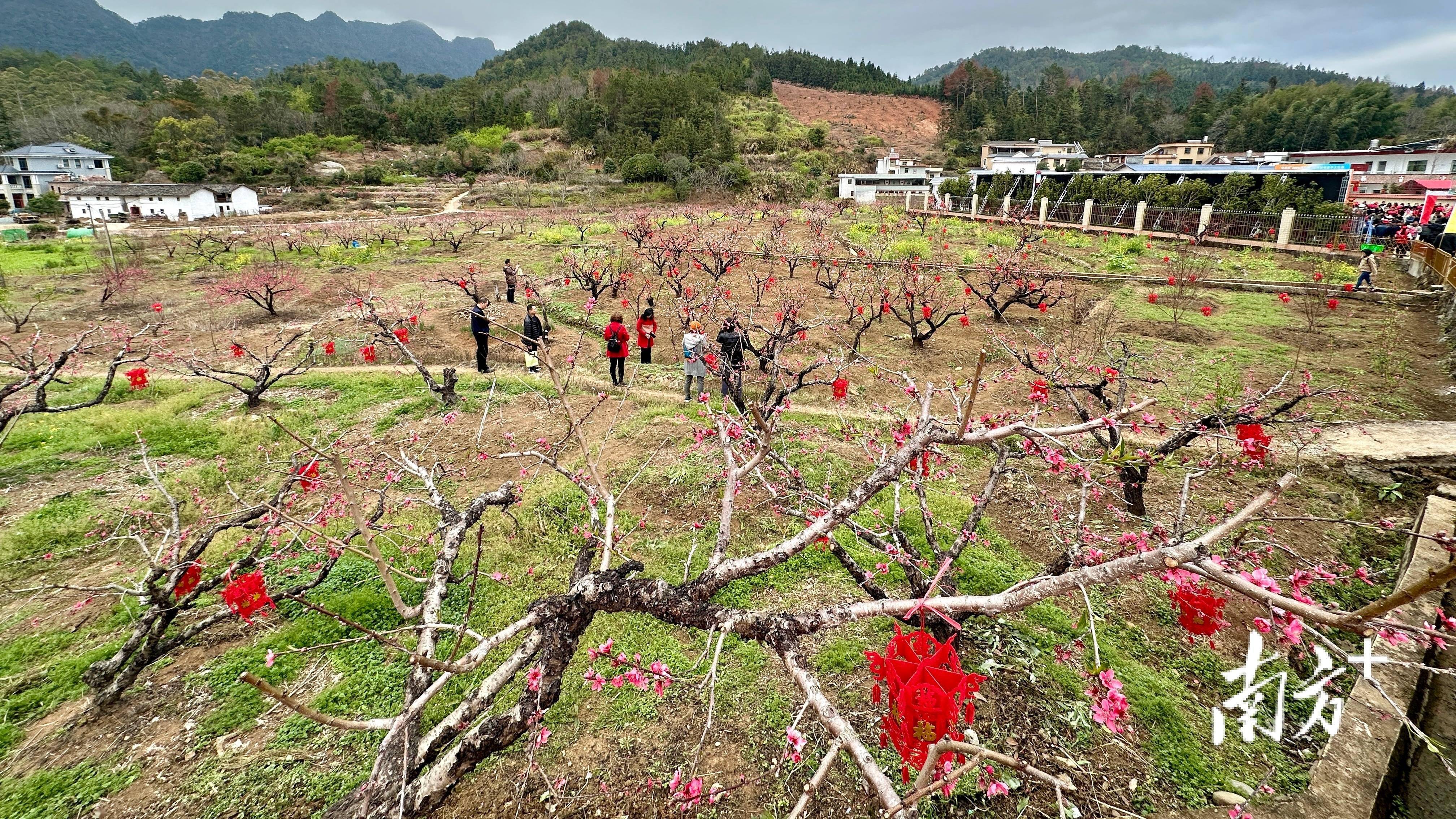 2024河美共赢篮球联赛连平大区赛火热开打_河源_特色