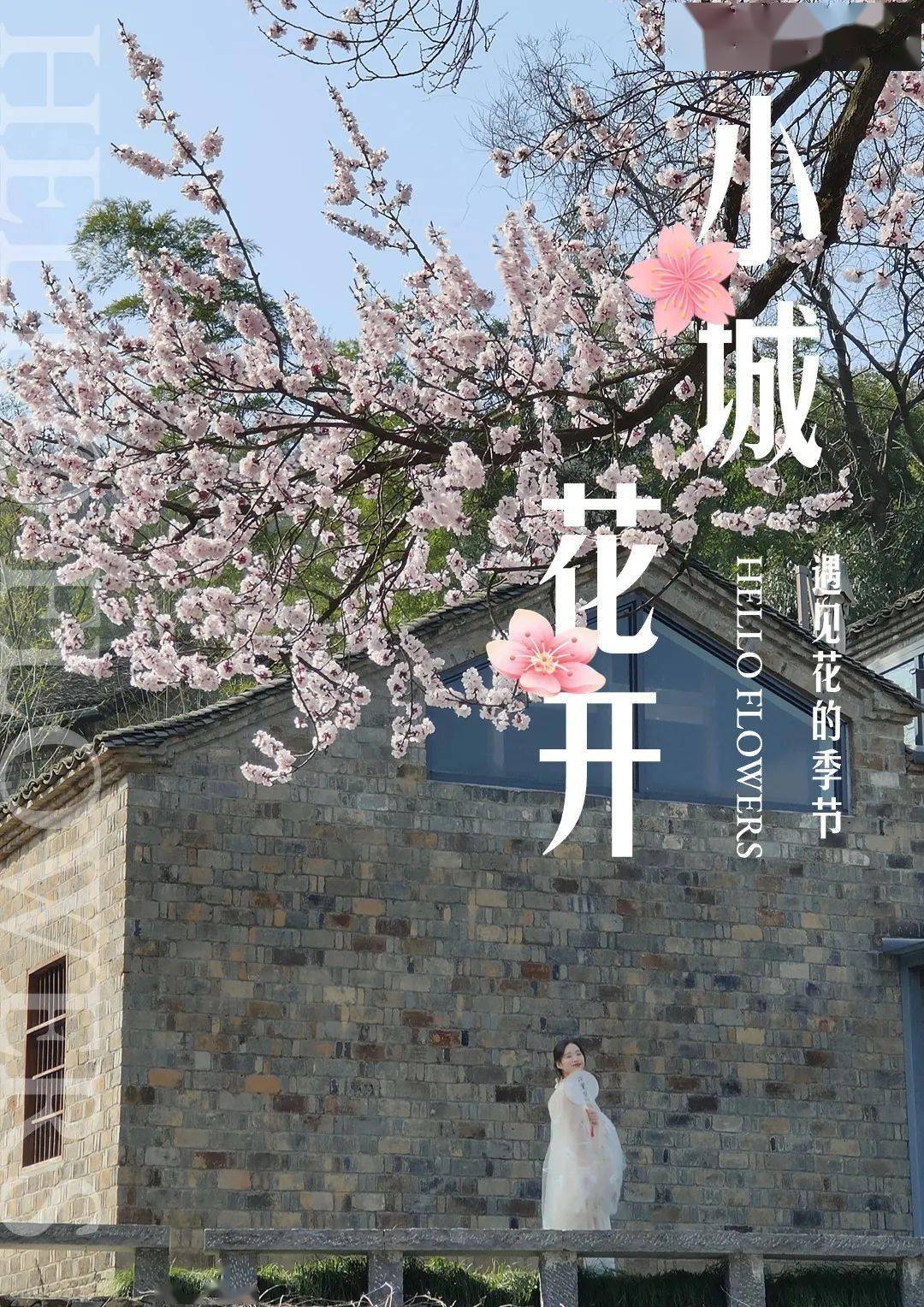 汤池镇_樱花_时间