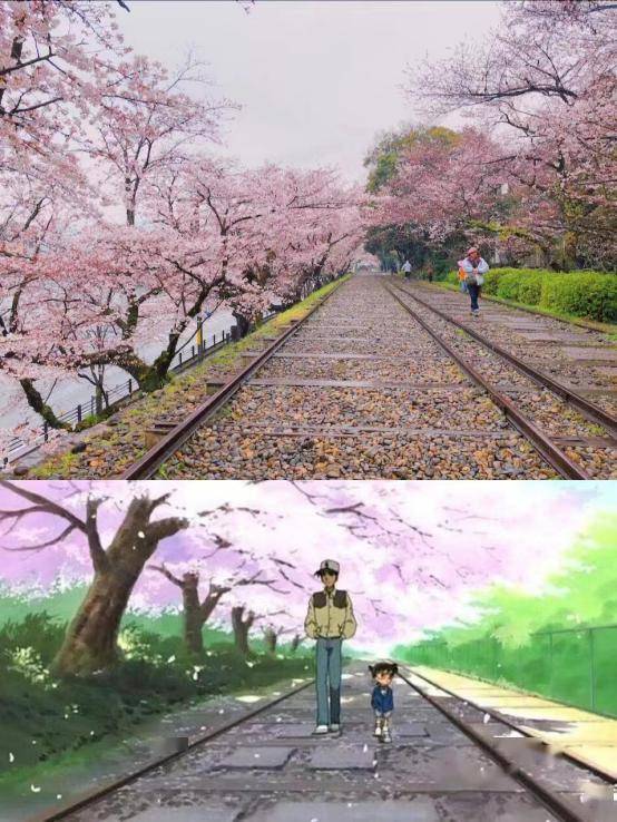 破解动漫中真实版的樱花世界~_公园_日本_代代木