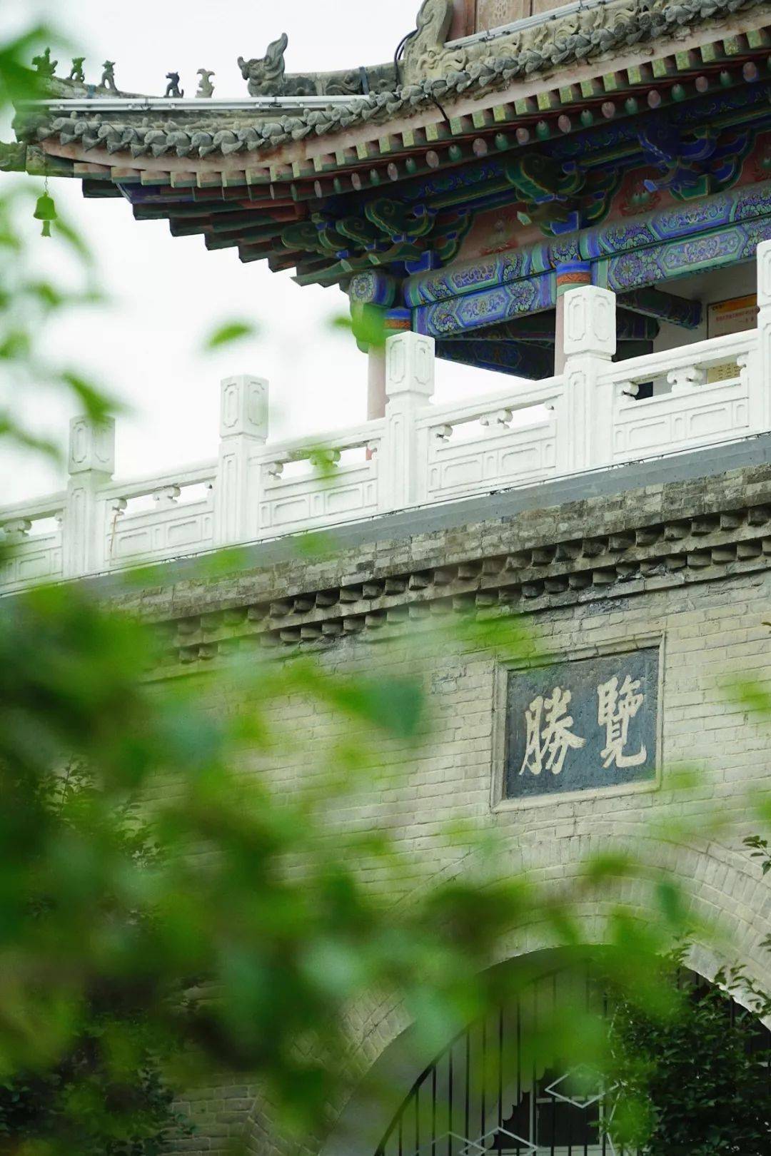 味道_户县_韭菜