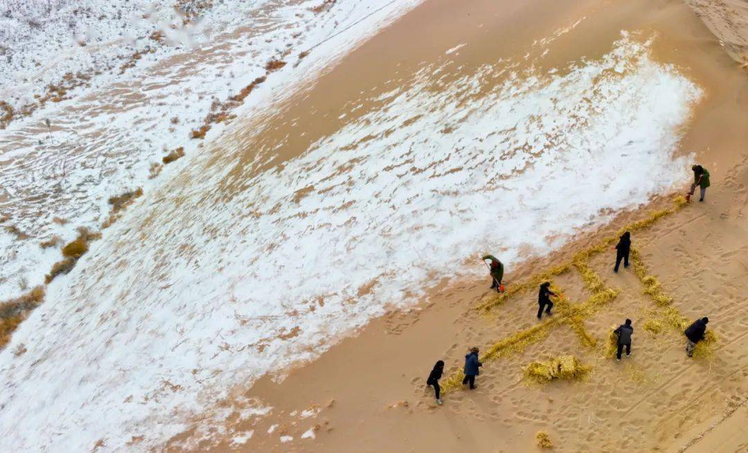《风雪中治沙忙》 王 将《雪山一线》 高立平《鹅喉羚悠闲冬觅》 杨