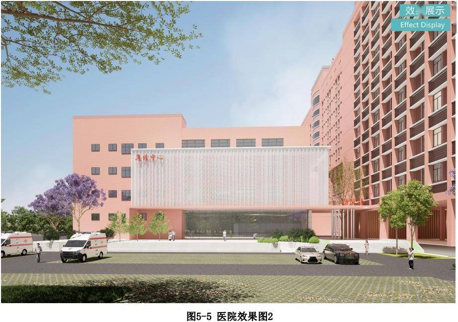 石排医院大楼上新,含住院楼,门急诊楼!投资上亿!_扩建_项目_场地