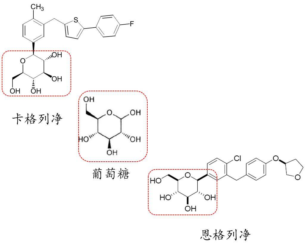 恩格列净,达格列净,卡格列净,艾托格列净和恒格列净之间的区别_患者