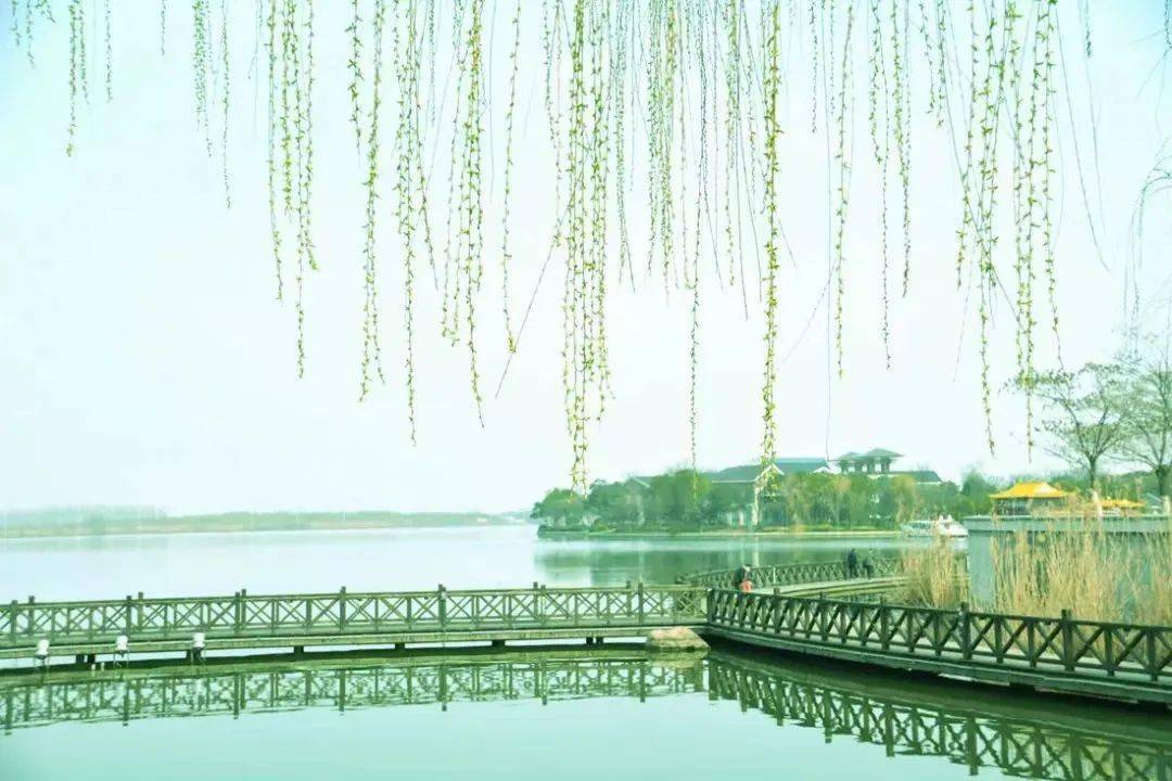 景区_镇江_踏青