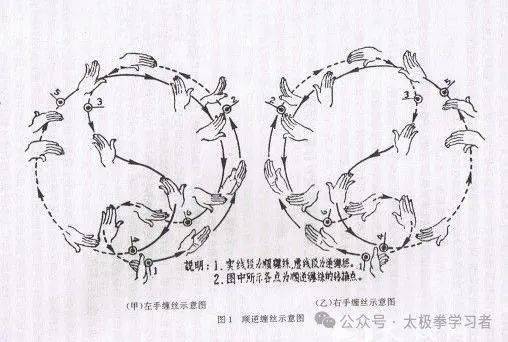 顾留馨 | 妙手可缠丝 太极拳法精_动作_圆圈_陈鑫