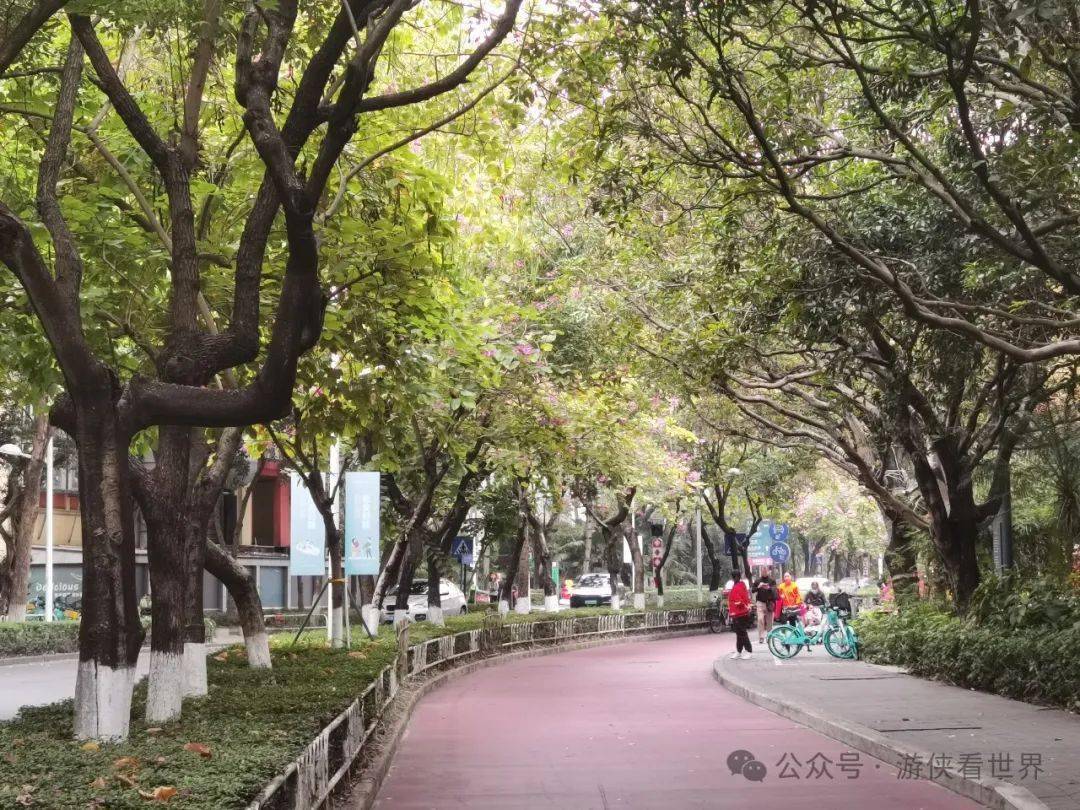 深圳:华侨城citywalk_公园_创意_社区
