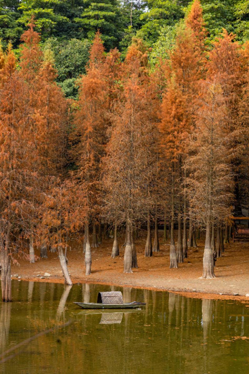 春天的朋友圈这样发→_青少年_树木_成长