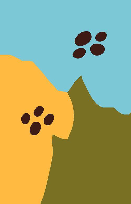 春日来信~油菜花向你发来邀约_宣传_种植_安东乡